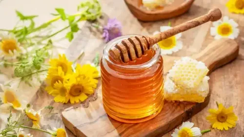 Honey for Weight Loss: Facts and Myth You Need to Know About It